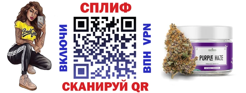 наркотики  Стародуб  Канабис сатива 